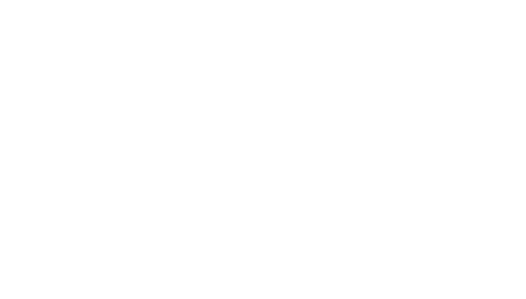 Mountain Peak Painters